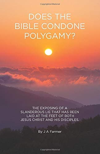 Does the Bible Condone Polygamy?: THE EXPOSING OF A SLANDEROUS LIE THAT HAS BEEN LAID AT THE FEET OF BOTH JESUS CHRIST AND HIS DISCIPLES.