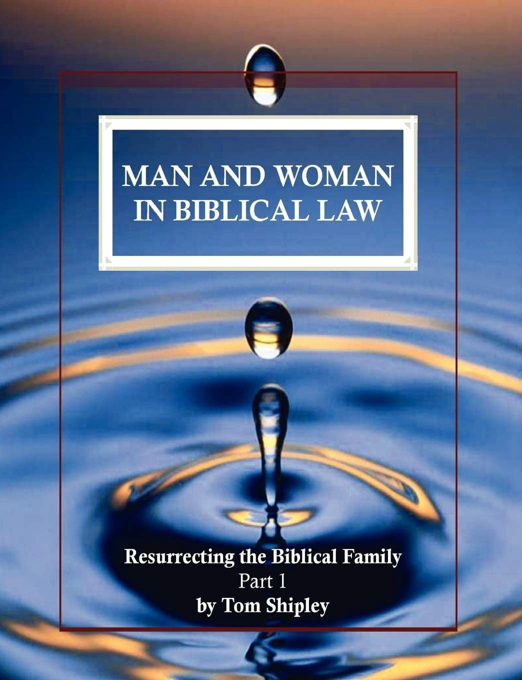 Man and Woman in Biblical Law cover